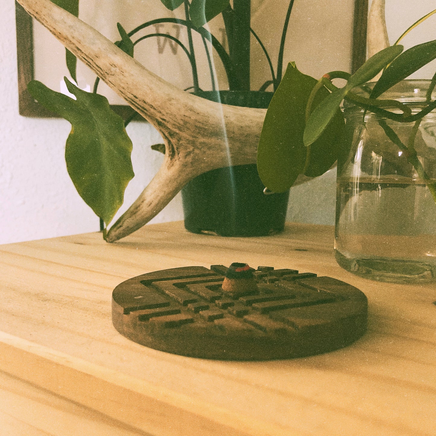Wild Spruce Incense Cones