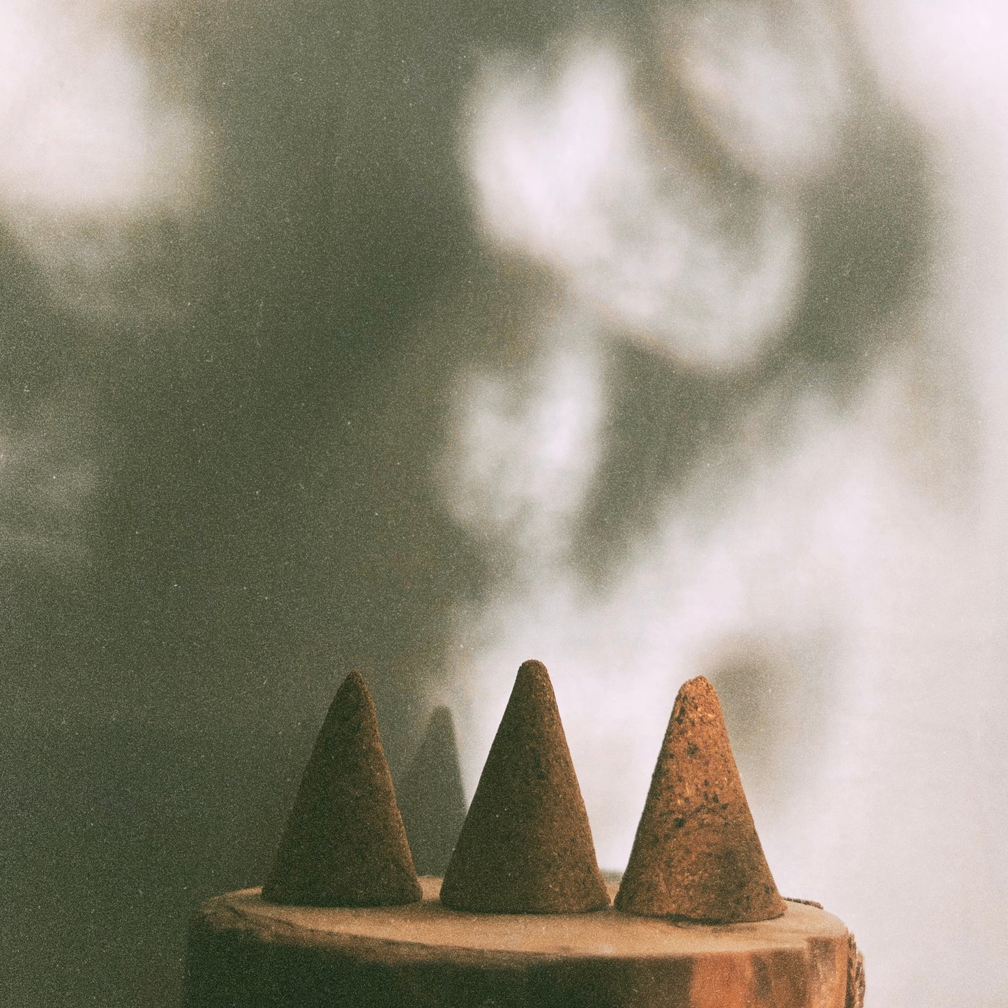 Wild Spruce Incense Cones