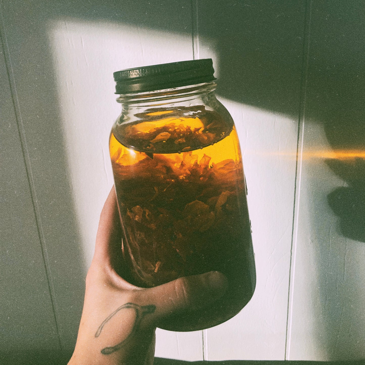Wild Rose Body Oil